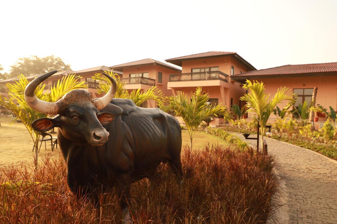 The Pench International Hotel Khawāsa Exterior foto